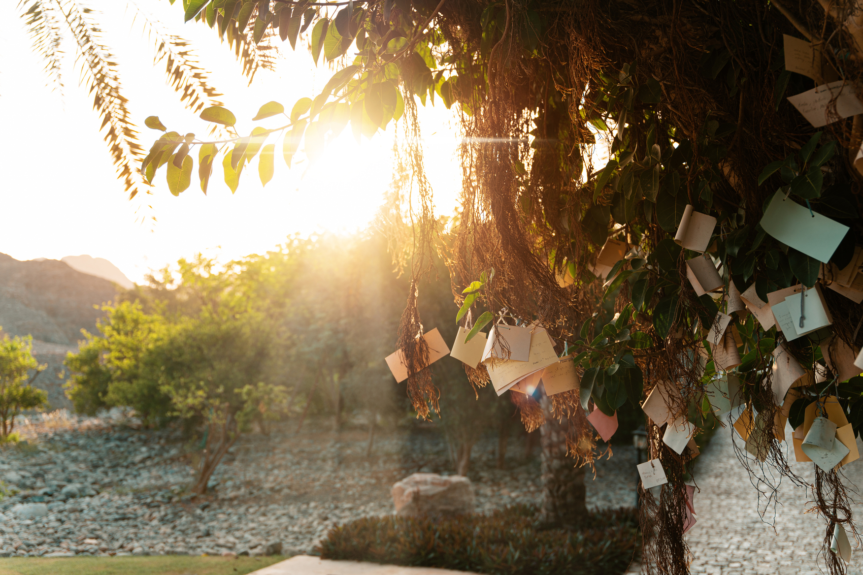 Al Bustan Palace Muscat - Oman